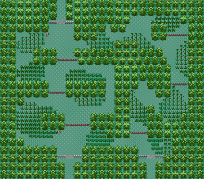 Petalburg Woods map — Pokémon Hoenn